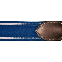 Collier chasse élastique Y Canter Marron / bleu électrique Collier chasse élastique Y Canter Marron / bleu électrique