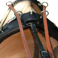 Leren teugelgeleiders in paar Chetak Newmarket Bruin Leren teugelgeleiders in paar Chetak Newmarket Bruin