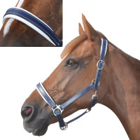 Leren halster met voering Chetak Marine / blanc Leren halster met voering Chetak Marine / blanc