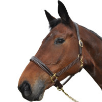 Licol Chetak BRIGHT Noir