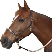 Touwhalster Canter Marron / beige