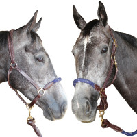 Licol corde Canter
