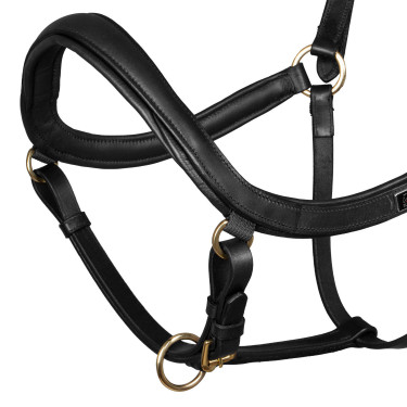 Licol cuir Supreme forme suédoise Noir