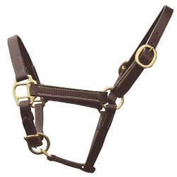 Licol foal présentation Chetak Licol foal présentation Chetak