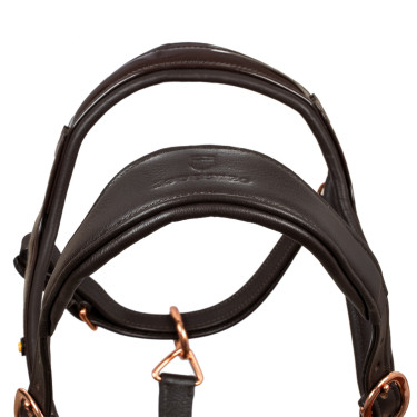 Licol en cuir lisse Equestro boucles rose gold Marron foncé