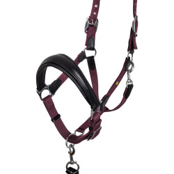 Licol ergonomique Equestro avec inserts en cuir Noir / bordeaux Licol ergonomique Equestro avec inserts en cuir Noir / bordeaux