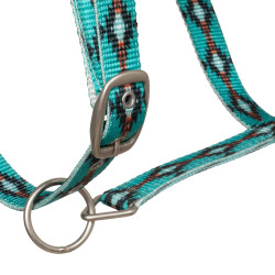 Licol nylon Pool’s motif Navajo Turquoise Bleu