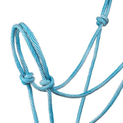 Licol Pool’s motif Waves Bleu ciel / turquoise