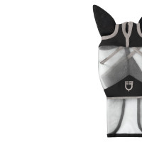 Masque anti-mouches Equestro complet avec logo