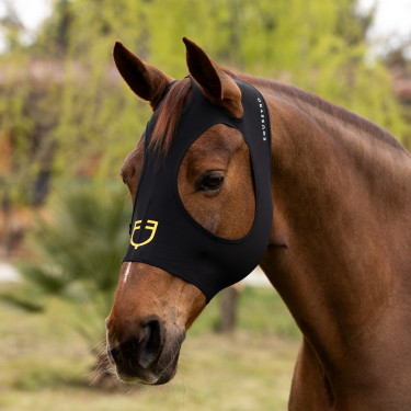 Masque anti-mouches Equestro en élasthanne sans oreilles filet pour yeux Noir