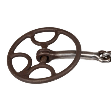 Mors à anneau lifter snaffle antique Pool’s Gonzales