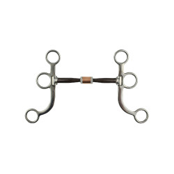 Mors western Pool’s inox tiges cuivre plates