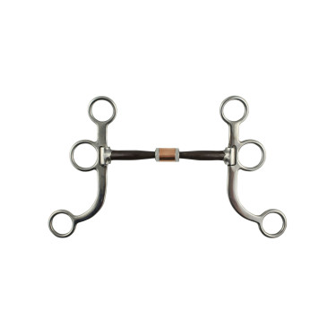 Mors western Pool’s inox tiges cuivre plates