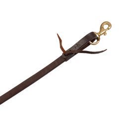 Western teugels Pool's 5/8" Geolied