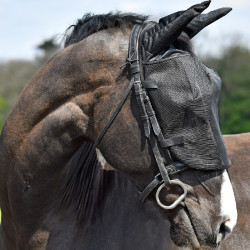 Masque de travail anti-mouches à oreilles Equilibrium Noir