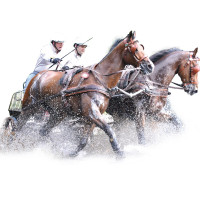 Harnais MARATHON anatomique double Eric Le Tixerant Marron / newmarket