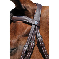 Bridon Flags & Cup Copenhague Marron Bridon Flags & Cup Copenhague Marron