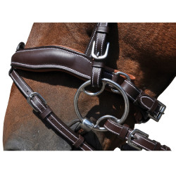 Bridon Flags & Cup Copenhague Marron Bridon Flags & Cup Copenhague Marron