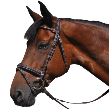 Bridon Vlaggen & Beker Doha Bridon Vlaggen & Beker Doha