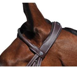 Bridon Flags & Cup Doha Marron Bridon Flags & Cup Doha Marron