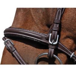 Bridon Flags & Cup Doha Marron Bridon Flags & Cup Doha Marron