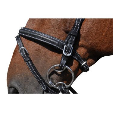 Bridon Vlaggen & Beker Helsinki Bruin