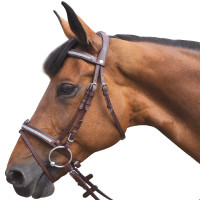 Bridon Vlaggen & Beker Kitsi Bruin