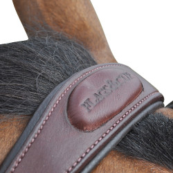 Bridon Flags & Cup Kitsi Marron