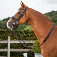 Bride Dy'on collection dressage cuir plat Muserolle Large Vernie Noir