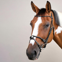 Bridon cuir rond Working By Dy'on Noir