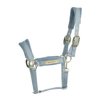 Licol Velvet Kentucky Bleu clair