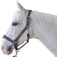 Licol cuir Flags & Cup PARIS Marron / marine