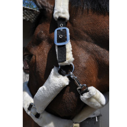 Licol de Transport Flags & Cup Bleu marine