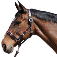 Halster Vlaggen & Beker Chukka Moka / bleu / rouge
