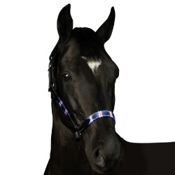 Licol Flags & Cup Chukka Licol Flags & Cup Chukka
