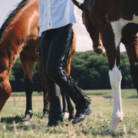 Chaps longue Dy'on en Cuir Artificiel avec Franges Noir Chaps longue Dy'on en Cuir Artificiel avec Franges Noir