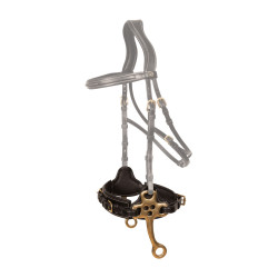 Hackamore Dy'on Noir