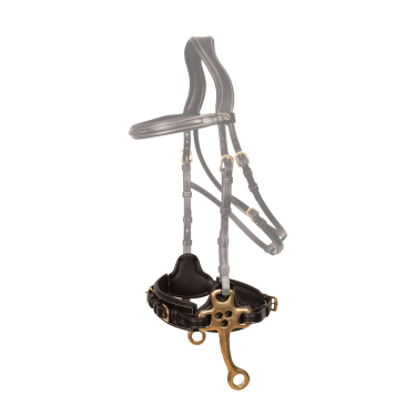 Hackamore Dy'on Hackamore Dy'on