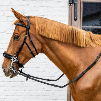 Rubberen teugels 5/8" Dy'on Working-collectie met lederen stops en musketonhaak Zwart