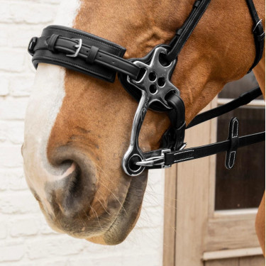 Rênes en Caoutchouc 5/8" Dy'on collection Working avec Arrêtoirs en Cuir et Mousqueton Rênes en Caoutchouc 5/8" Dy'on collection Working avec Arrêtoirs en Cuir et Mousqueton