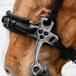 Hackamore Dy'on New English Hackamore Dy'on New English