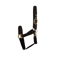 Licol 3D Mesh Kentucky