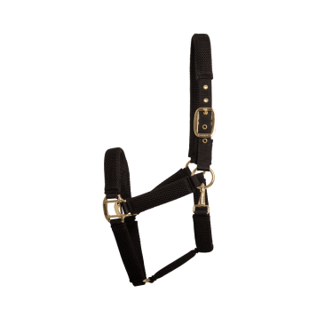 Licol 3D Mesh Kentucky Licol 3D Mesh Kentucky