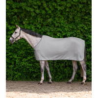 Waldhausen Economic fleece-deken Zilvergrijs