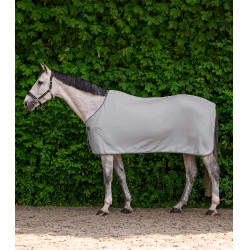 Waldhausen Economic fleece-deken Zilvergrijs