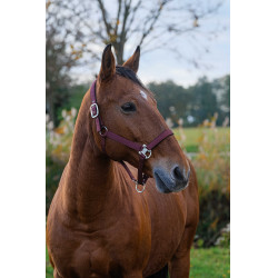 Licol Nylon Spring Equithème Bordeaux Licol Nylon Spring Equithème Bordeaux