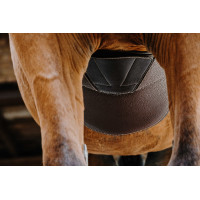 Sangle bavette Magnet Norton Havane Marron