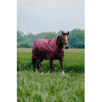 Couverture Equithème TYREX 1200D High Neck Bordeaux