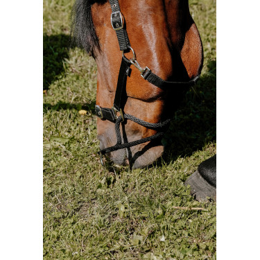 Licol Norton Educatif Noir