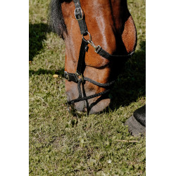 Norton Educatief Halster Zwart Norton Educatief Halster Zwart